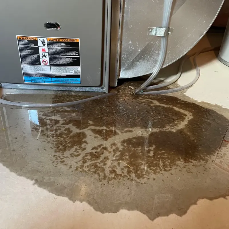 Appliance Leak Cleanup in Charlotte, MI